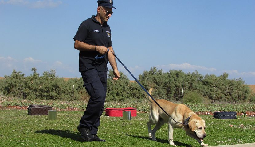 Police Dog - Dogs with Jobs