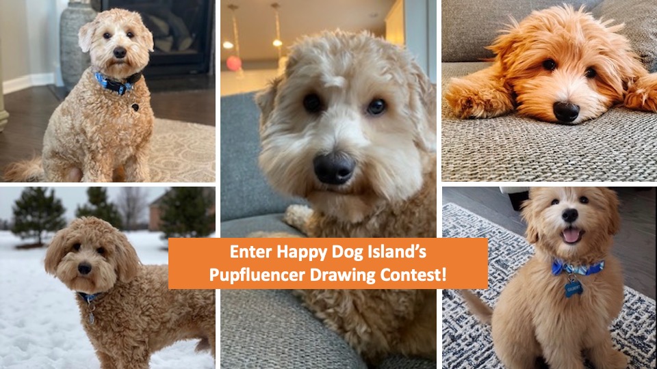 Enter the Pupfluencer Drawing Contest