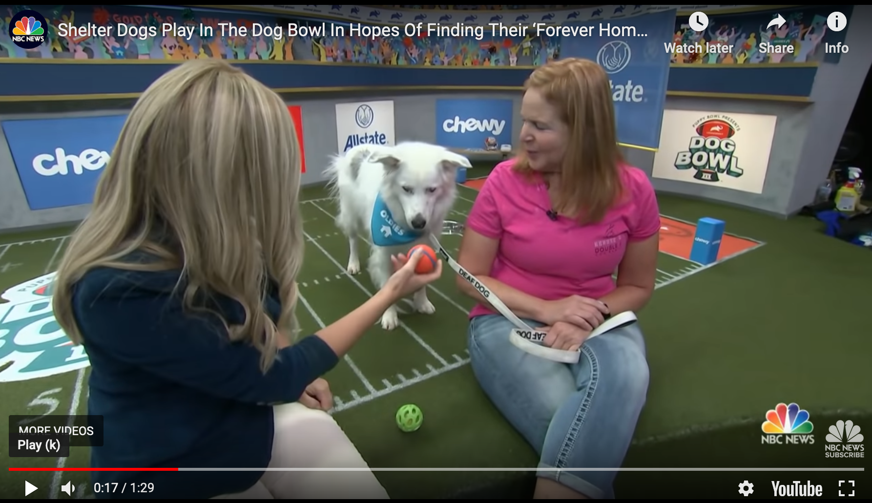 Dog Bowl III to Support Animal Adoption