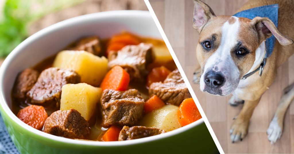 Homemade beef clearance stew for dogs